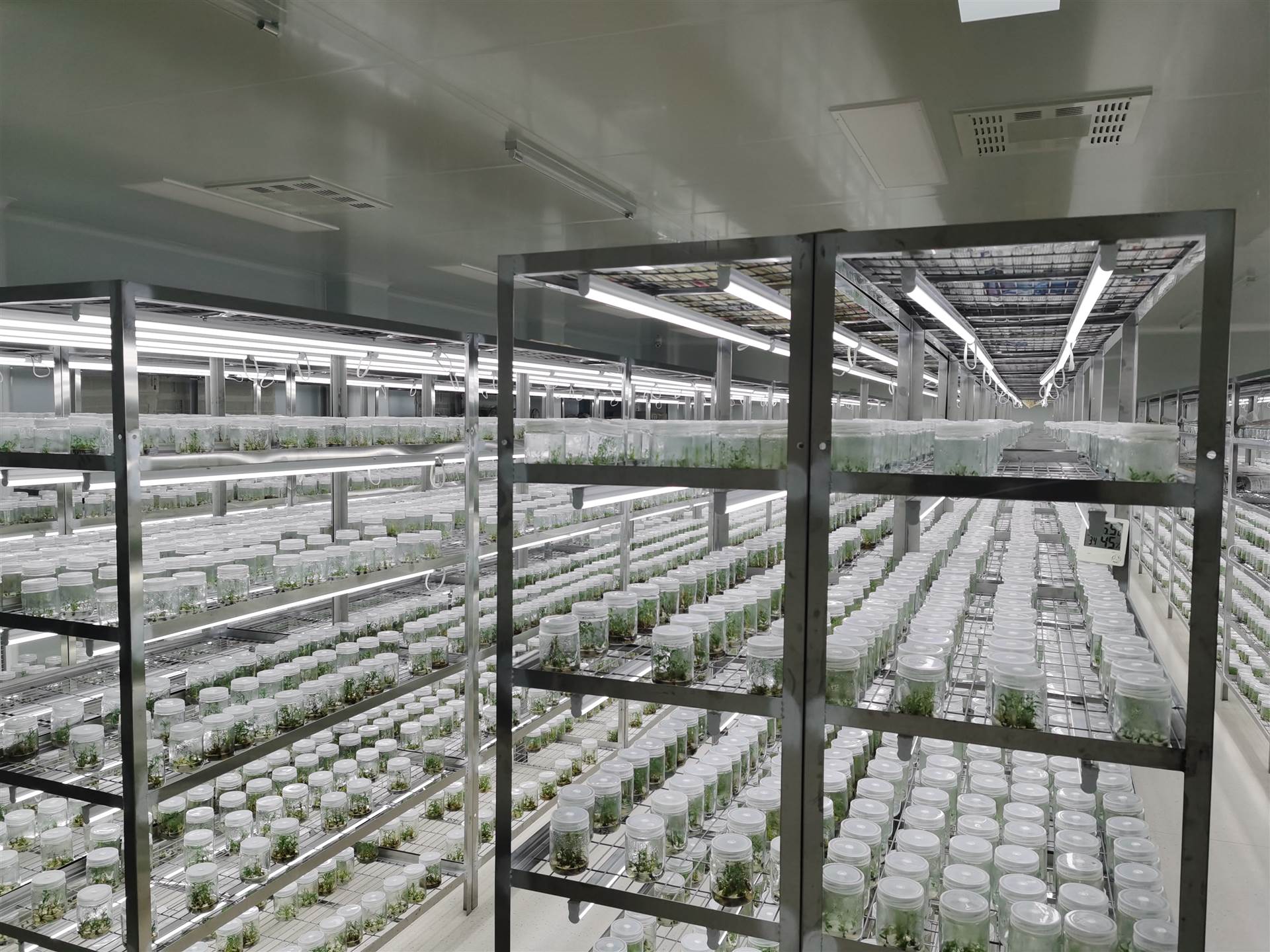 組培室凈化工程該如何設計？設計等級是什么？